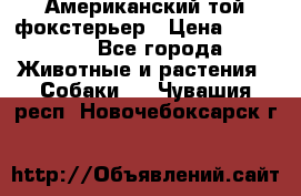 Американский той фокстерьер › Цена ­ 25 000 - Все города Животные и растения » Собаки   . Чувашия респ.,Новочебоксарск г.